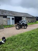 GEZOCHT: stalling, droog plekje voor mijn koets, Dieren en Toebehoren, Ophalen, Overige soorten