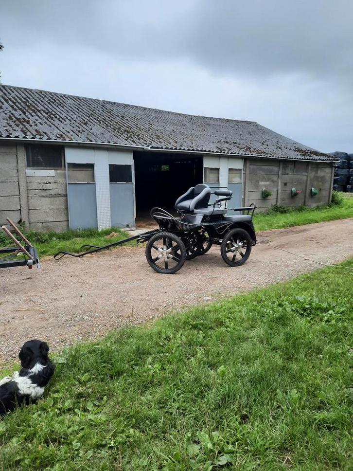 GEZOCHT: stalling, droog plekje voor mijn koets, Dieren en Toebehoren, Paarden en Pony's | Hoofdstellen en Tuigage, Overige soorten