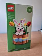 LEGO 40587 Easter Basket GWP - NIEUW, Kinderen en Baby's, Speelgoed | Duplo en Lego, Ophalen of Verzenden, Nieuw, Complete set