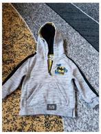 Grijze batman trui Maat 92 h, Kinderen en Baby's, Kinderkleding | Maat 92, Trui of Vest, Onbekend, Ophalen of Verzenden, Zo goed als nieuw