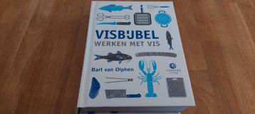 Visbijbel - Werken met Vis - Bart van Olphen beschikbaar voor biedingen