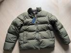 Tommy Hilfiger Jas - Nieuw!, Tommy Hilfiger, Nieuw, Groen, Verzenden