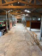 Kleinschalig paardenstalling aangeboden, Dieren en Toebehoren, Stalling en Weidegang, Stalling