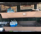 Cavia /Knaagdieren  kooi. 120 cm, Kooi, 110 cm of meer, Zo goed als nieuw, Cavia
