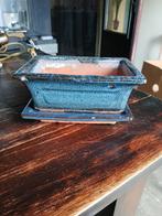 Oude bonsai schaal 15,5x8x10 cm, Ophalen of Verzenden, Zo goed als nieuw, Aardewerk, Minder dan 25 cm