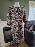 Betty Barclay luipaard jurk 40 M zakken gratis verz. in NL, Kleding | Dames, Jurken, Beige, Knielengte, Maat 38/40 (M), Zo goed als nieuw