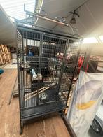 Papegaaien kooi, Dieren en Toebehoren, Vogels | Hokken en Kooien, Ophalen, Zo goed als nieuw, Metaal, Vogelkooi