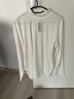 Trui, Kleding | Dames, Truien en Vesten, Overige kleuren, Maat 46/48 (XL) of groter, Nieuw, Ophalen of Verzenden