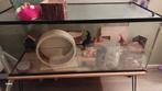 Goud Hamster groot hok met veel spullen erbij, 110 cm of meer, Zo goed als nieuw, Ophalen, Minder dan 60 cm