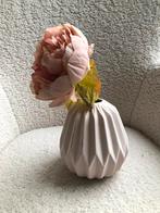 Leuke pioenroos in pot, Ophalen of Verzenden, Zo goed als nieuw