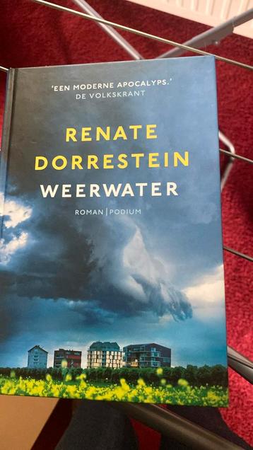 Renate Dorrestein - Weerwater beschikbaar voor biedingen