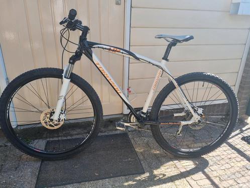 Torpado, Lightrace 2,, Fietsen en Brommers, Fietsen | Mountainbikes en ATB, Zo goed als nieuw, Overige merken, 57 cm of meer, Hardtail