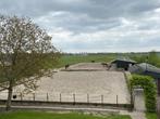 Pensionstalling Westwoud, Dieren en Toebehoren, Weidegang, 2 of 3 paarden of pony's