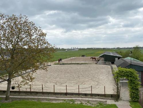 Pensionstalling Westwoud, Dieren en Toebehoren, Stalling en Weidegang, Weidegang, 2 of 3 paarden of pony's