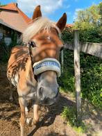 Opzoek naar deze pony, Dieren en Toebehoren, Paarden en Pony's | Overige Paardenspullen, Ophalen of Verzenden, Overige soorten