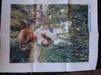 Candamar design steve hanks borduur patroon voorbedrukt, Hobby en Vrije tijd, Ophalen, Zo goed als nieuw, Patroon