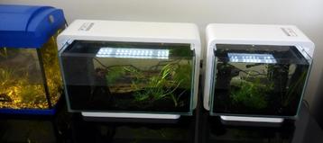 Aqua Scaping Home 25 (€99) beschikbaar voor biedingen