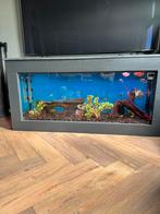 Aquarium Juwel 450 liter, Ophalen, Gebruikt, Gevuld zoetwateraquarium