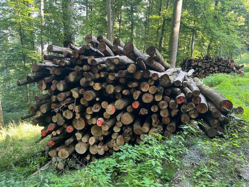 Brandhout, Openhaardhout boomstammen., Tuin en Terras, Haardhout, Stammen, Overige houtsoorten, 6 m³ of meer, Verzenden