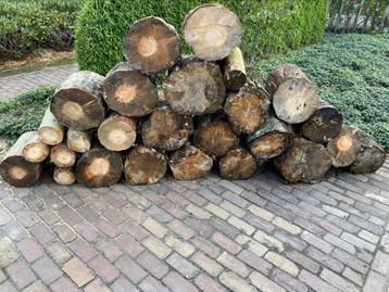 Ruim 1 m3 haardhout beschikbaar voor biedingen