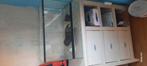 60x40x40 terrarium aangeboden, Ophalen, Zo goed als nieuw, Terrarium of Paludarium