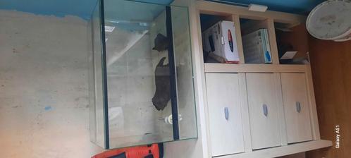 60x40x40 terrarium aangeboden, Dieren en Toebehoren, Reptielen en Amfibieën | Toebehoren, Zo goed als nieuw, Terrarium of Paludarium