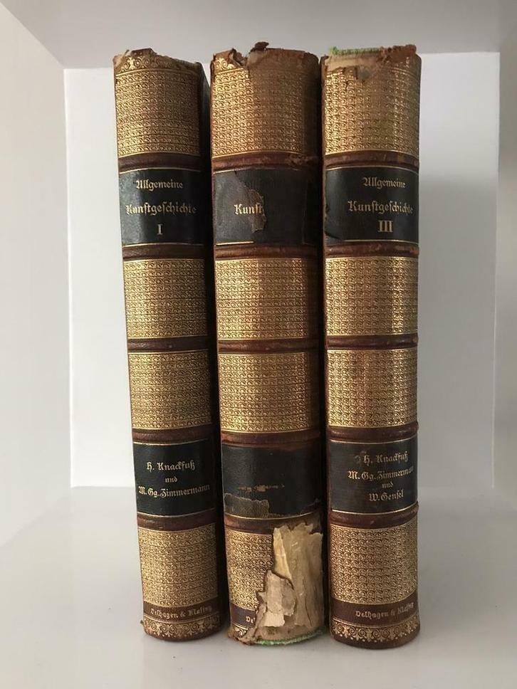 Algemeine Kunstgeschichte door Knackfuss und Zimmermann, Boeken, Kunst en Cultuur | Fotografie en Design, Gelezen, Ophalen of Verzenden