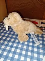 Dolfinarium Harderwijk walrus knuffel 20 cm groot, Ophalen of Verzenden