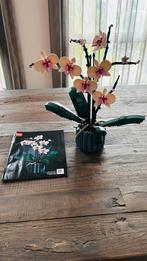 LEGO Icons Orchidee - Botanical Collection, Ophalen of Verzenden, Zo goed als nieuw, Binnen