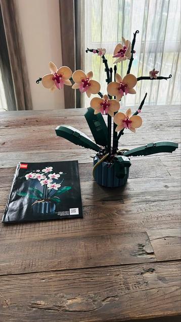 LEGO Icons Orchidee - Botanical Collection beschikbaar voor biedingen