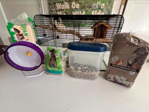 Glazen hamsterkooi met gratis attributen!, Dieren en Toebehoren, Knaagdieren en Konijnen | Hokken en Kooien, Ophalen of Verzenden
