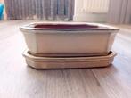 Bonsai schaal creme/wit geglazuurd 18cm x 13,3cm x 6cm nieuw, Tuin en Terras, Ophalen, Nieuw, Tuin, Aardewerk
