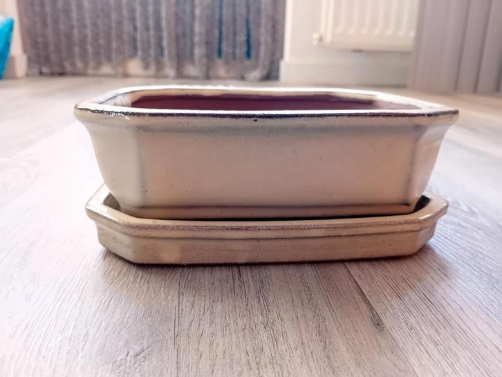 Bonsai schaal creme/wit geglazuurd 18cm x 13,3cm x 6cm nieuw, Tuin en Terras, Bloempotten, Nieuw, Aardewerk, Tuin, Minder dan 40 cm