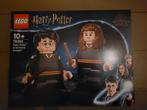 Lego 76393 Harry Potter & Hermoine Grainger nieuw in doos, Ophalen of Verzenden, Nieuw, Complete set, Lego