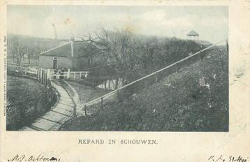 (386-279-037) Zeeland Repard in Schouwen beschikbaar voor biedingen