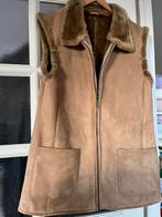 Bodywarmer. Geheel gevoerd  maat M, Ophalen of Verzenden, Zo goed als nieuw, Maat 38/40 (M)