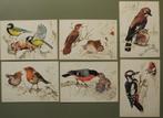 Voor het Kind - serie - Vogels - Ko van den Broecke - 1978, Ophalen of Verzenden, 1960 tot 1980, Ongelopen, Natuur