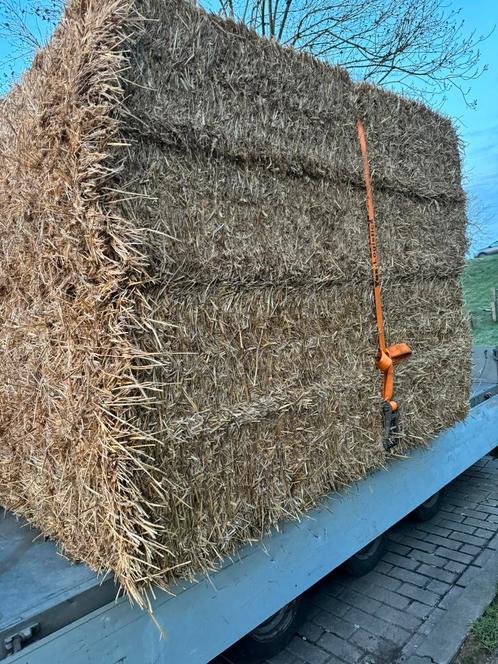 Tarwe stro gerste stro strooisel strooi stro, Dieren en Toebehoren, Stalling en Weidegang