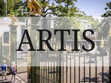 12 x Artis e-tickets te koop - snel binnen!🐒🐒 beschikbaar voor biedingen