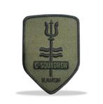 C-Squadron patches