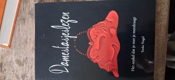 Yoeke Nagel - Damestasjeslezen, Boeken, Esoterie en Spiritualiteit, Zo goed als nieuw, Overige onderwerpen, Ophalen of Verzenden