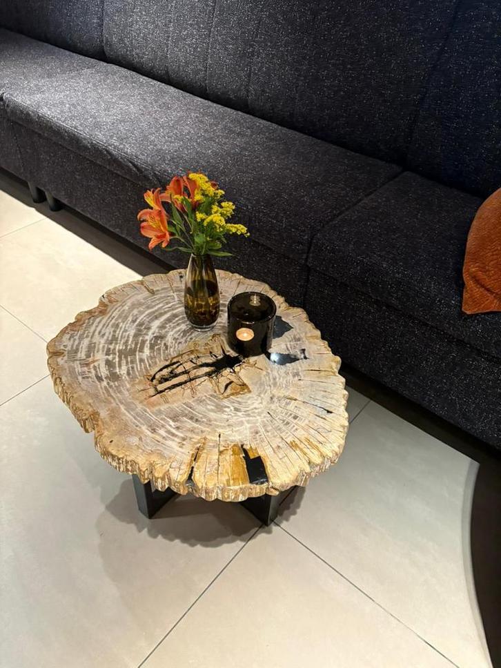 Versteendhout versteendhouten  salontafel bijzetafel tafel, Huis en Inrichting, Tafels | Salontafels, Zo goed als nieuw, Minder dan 50 cm