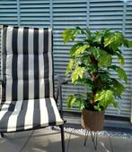 Kunstplant/Boom 85cm - Realistisch & Veelzijdig, Huis en Inrichting, Kamerplanten, Ophalen of Verzenden