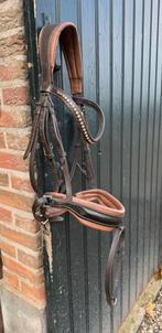 2 kleurig bruin Tess hoofdstel Full, Ophalen of Verzenden, Dressuur