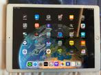 Ipad pro 2de gen 12.9 inch 256gb + i-pencil, Computers en Software, Apple iPads, 13 inch of meer, Ophalen of Verzenden, Zo goed als nieuw