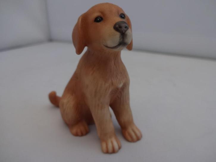 Kleine porseleinen zittende jonge Labrador van Goebel, Verzamelen, Beelden en Beeldjes, Nieuw, Dier, Ophalen of Verzenden