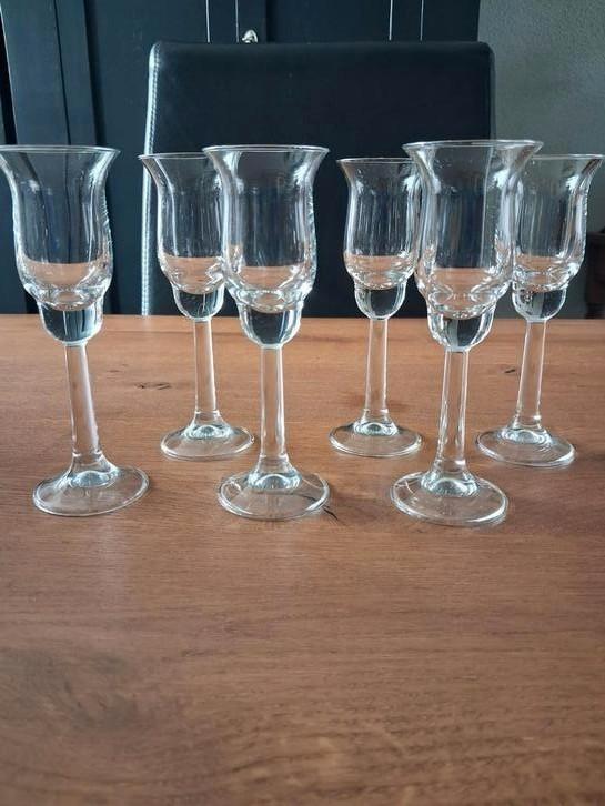 AMBASSADOR Royal Leerdam - Willem Heesen 6 borrelglaasjes, Verzamelen, Glas en Borrelglaasjes, Zo goed als nieuw, Borrel- of Shotglas