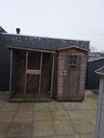 Gratis opknapper, Dieren en Toebehoren, Vogels | Duiven, Postduif