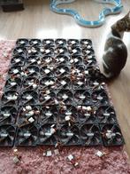 Cooling Fan 33 stuks, Ophalen of Verzenden, Nieuw