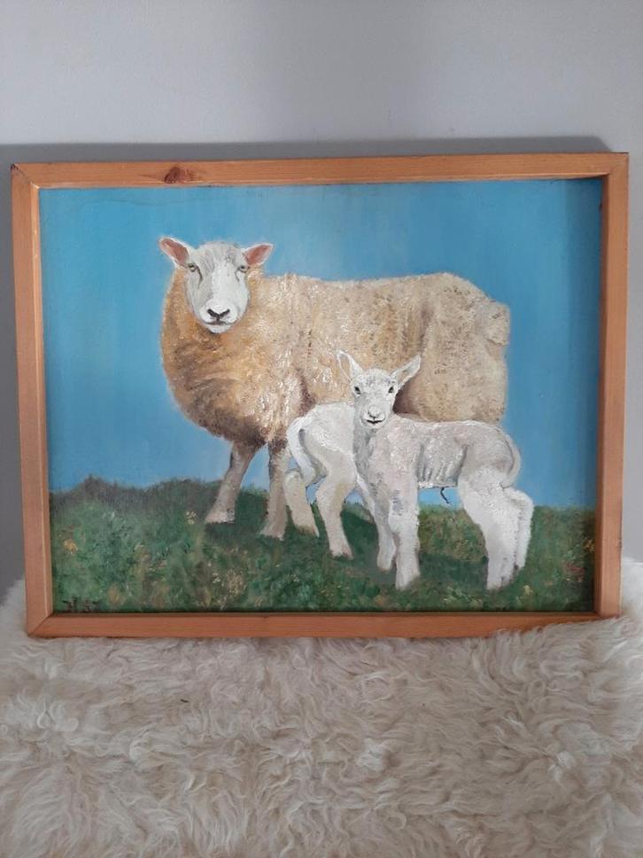Olieverf Schilderij Texelaar Schapen met Lammetjes, Antiek en Kunst, Kunst | Schilderijen | Klassiek, Ophalen of Verzenden